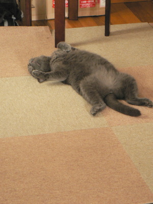 0708-1.jpg